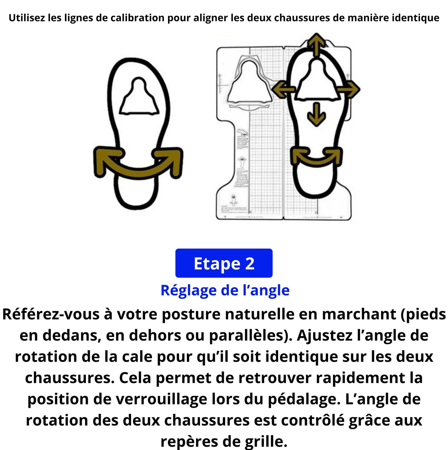 Outil de positionnement de cales SPD-SL